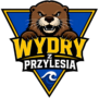 Wydry z Przylesia